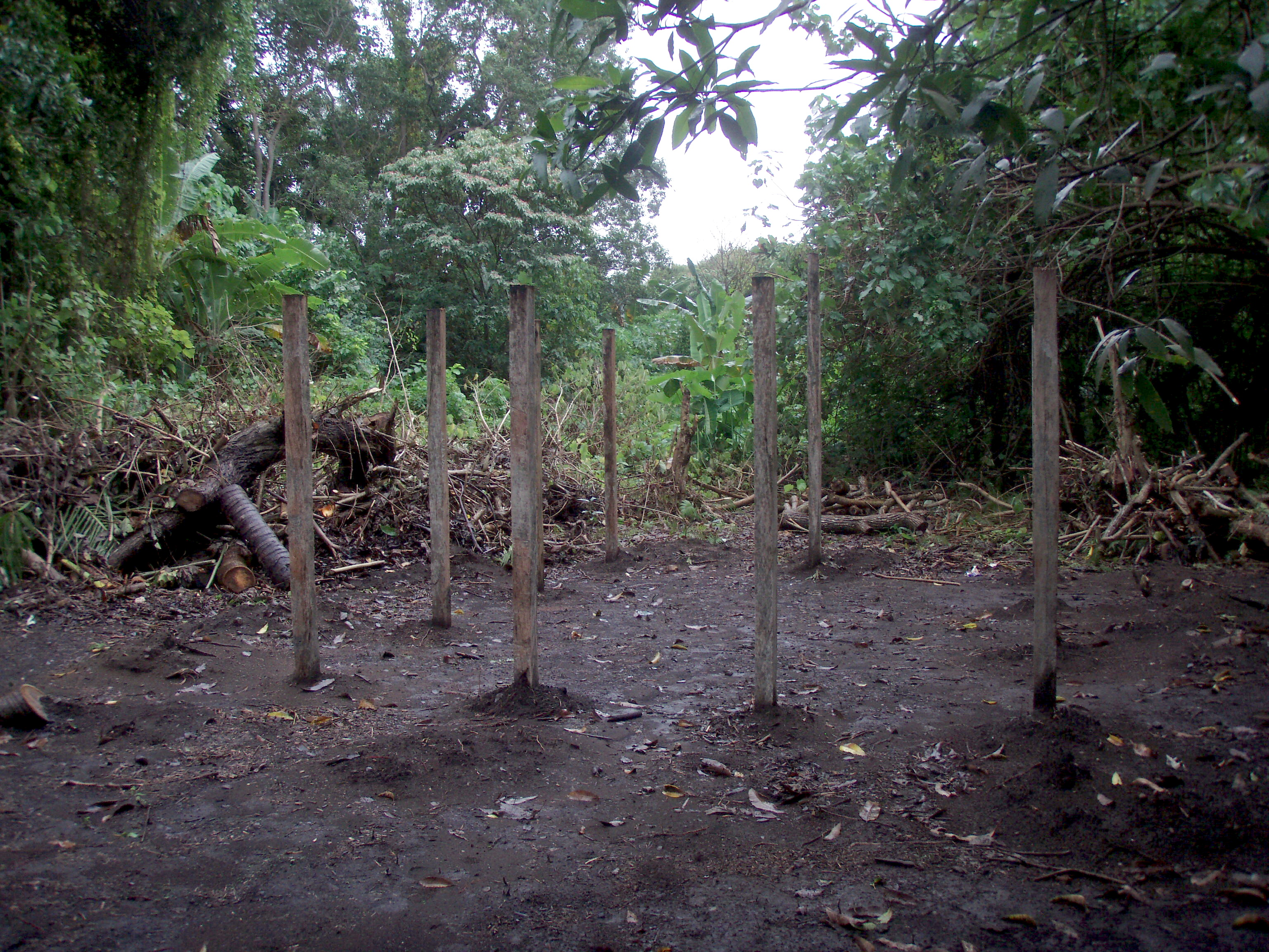 malakula 003.jpg malakula 003.jpg